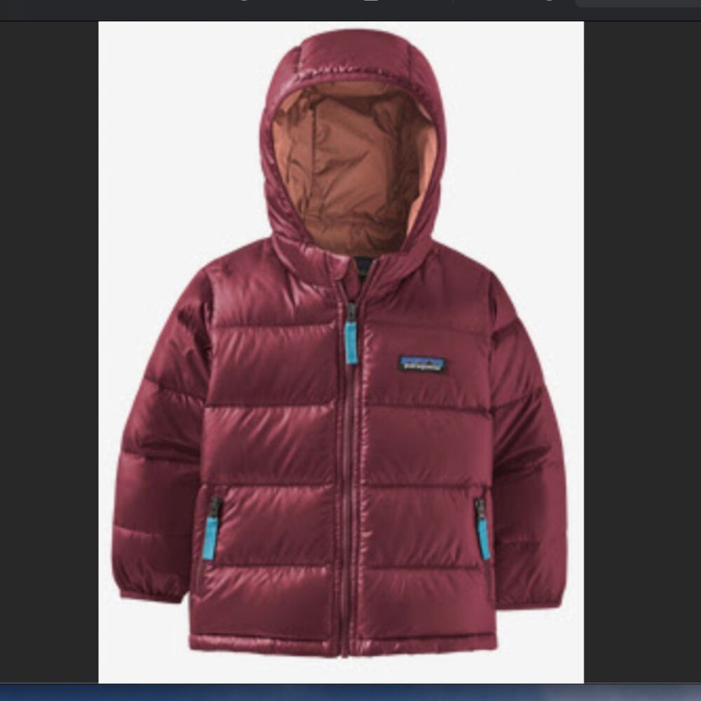 Patagonia Baby Hi-Loft Down Sweater Hoody 2T